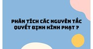 Phân tích các nguyên tắc quyết định hình phạt ?