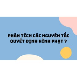 Phân tích các nguyên tắc quyết định hình phạt ?