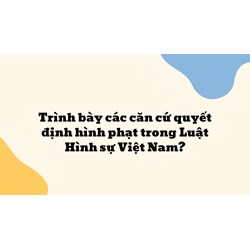 Trình bày các căn cứ quyết định hình phạt trong Luật Hình sự Việt Nam ?