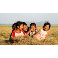 Tội vi phạm quy định về sử dụng người lao động dưới 16 tuổi Điều 296 BLHS