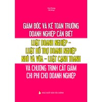 Giám đốc và kế toán trường doanh nghiệp cần biết - Luật doanh nghiệp - Luật hỗ trợ doanh nghiệp nhỏ và vừa - Luật cạnh tranh (Kim Phượng)