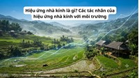 Hiệu ứng nhà kính là gì? Các tác nhân của hiệu ứng nhà kính với môi trường