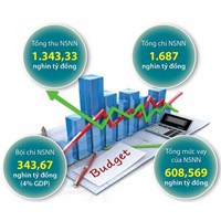 Quy định về tổ chức điều hành dự toán chi ngân sách nhà nước