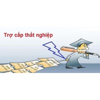 Thử việc có bị dừng trợ cấp thất nghiệp hay không?