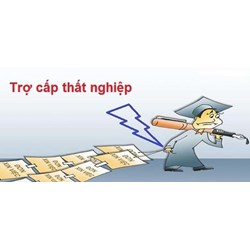 Thử việc có bị dừng trợ cấp thất nghiệp hay không?