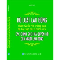 Sách Bộ luật lao động được Quốc Hội thông qua tại kỳ họp thứ 8 khóa XIV - Các chính sách và quyền lợi của người lao động