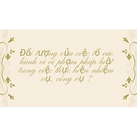 Đối tượng của việc tố cáo hành vi vi phạm pháp luật trong việc thực hiện nhiệm vụ, công vụ ?