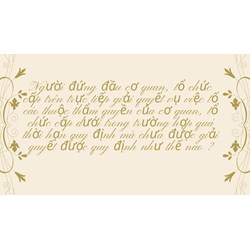 Người đứng đầu cơ quan, tổ chức cấp trên trực tiếp giải quyết vụ việc tố cáo thuộc thẩm quyền của cơ quan, tổ chức cấp dưới trong trường hợp quá thời hạn quy định mà chưa được giải quyết được quy định như thế nào ?