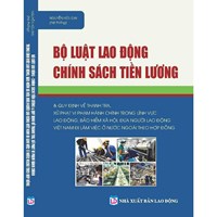 Sách Bộ luật lao động chính sách tiền lương và quy định về thanh tra xử phạt vi phạm hành chính trong lĩnh vực lao động