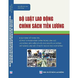 Sách Bộ luật lao động chính sách tiền lương và quy định về thanh tra xử phạt vi phạm hành chính trong lĩnh vực lao động
