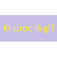 Quy định về mẫu hợp đồng ký cược mới nhất
