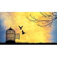 Chủ nghĩa tự do là gì? Quan niệm về chủ nghĩa tự do?