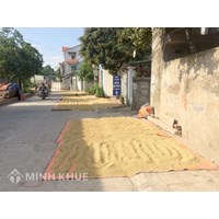 Phơi thóc, lúa, rơm rạ trên đường cản trở giao thông có bị phạt?