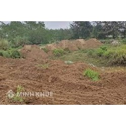 Hành vi lấn, chiếm đất chưa sử dụng bị xử phạt như thế nào?