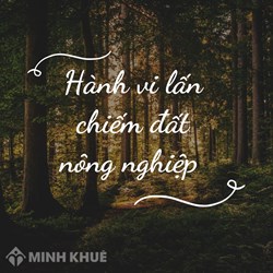 Hành vi lấn, chiếm đất nông nghiệp không phải đất trồng lúa bị xử phạt như thế nào?