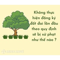 Không thực hiện đăng ký đất đai lần đầu theo quy định sẽ bị xử phạt như thế nào ?