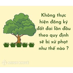 Không thực hiện đăng ký đất đai lần đầu theo quy định sẽ bị xử phạt như thế nào ?