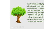 Mức pạt hành vi không sử dụng đất trồng cây hàng năm, đất trồng cây lâu năm, đất trồng rừng?