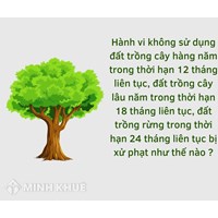 Mức pạt hành vi không sử dụng đất trồng cây hàng năm, đất trồng cây lâu năm, đất trồng rừng?
