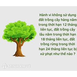 Mức pạt hành vi không sử dụng đất trồng cây hàng năm, đất trồng cây lâu năm, đất trồng rừng?