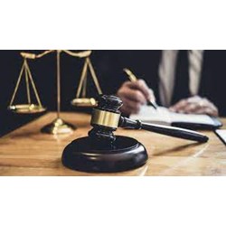 Hành nghề luật tại Pháp và Mỹ có những điểm tương đồng và khác biệt nào?