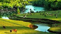 Trách nhiệm quản lý nhà nước về căn cước công dân theo quy định mới nhất