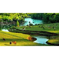 Trách nhiệm quản lý nhà nước về căn cước công dân theo quy định mới nhất