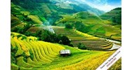 Nguyên tắc bảo vệ môi trường theo quy định mới nhất