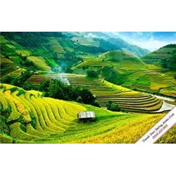 Nguyên tắc bảo vệ môi trường theo quy định mới nhất