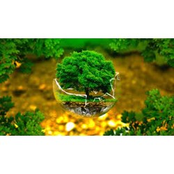 Nội dung giấy phép môi trường theo quy định mới nhất