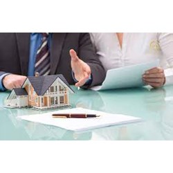 Chuyển nhượng đất đồng sở hữu có được hay không?