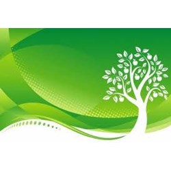 Bảo vệ môi trường đối với khu kinh tế theo quy định mới nhất
