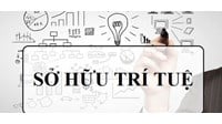 Các quy định về nhãn hiệu trong Luật Sở hữu trí tuệ tại Việt Nam