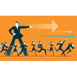 Quản trị là gì? Chức năng, vai trò, tính khoa học của quản trị