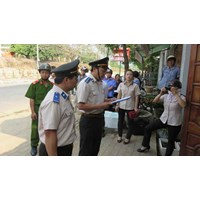 Quy định về tài sản bảo đảm trong thi hành án dân sự