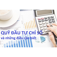 Khái niệm quỹ đầu tư chỉ số Index fund ? Phân loại quỹ đầu tư chỉ số