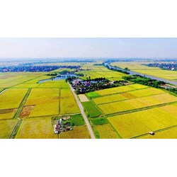 Quy định của pháp luật đất đai hiện hành về nhóm đất nông nghiệp?