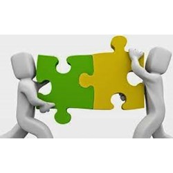 Quy định của pháp luật về thành viên và cơ cầu tổ chức quản lý của công ty hợp danh