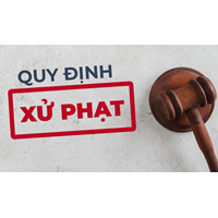 Xử phạt các hành vi vi phạm về đào tạo, sát hạch lái xe?