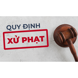 Xử phạt các hành vi vi phạm về đào tạo, sát hạch lái xe?