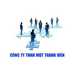 Quy trình thành lập công ty trách nhiệm hữu hạn một thành viên do HĐTV hoặc Chủ tịch công ty quyết định thành lập
