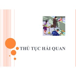 Nguyên tắc kiểm tra, giám sát, tạm dừng làm thủ tục hải quan hiện nay