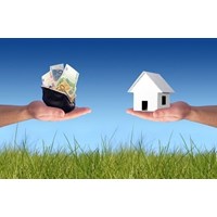 Hỏi đáp về đất đai - Chuyển nhượng đất trồng lúa, chuyển mục đích sử dụng đất trồng lúa sang các loại cây trồng khác?