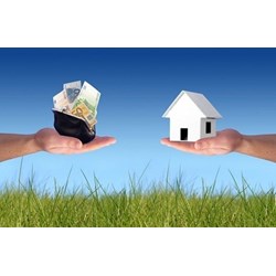 Hỏi đáp về đất đai - Chuyển nhượng đất trồng lúa, chuyển mục đích sử dụng đất trồng lúa sang các loại cây trồng khác?