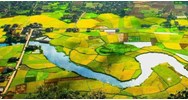 Hỏi đáp về đất đai - Tranh chấp về lối đi chung, lấn chiếm đất?