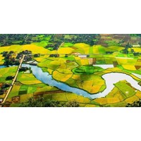 Hỏi đáp về đất đai - Tranh chấp về lối đi chung, lấn chiếm đất?