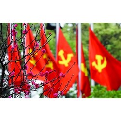 Nội dung chính của Quy định thi hành điều lệ Đảng Cộng Sản Việt Nam