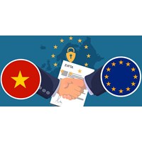 Nội dung pháp luật điều chỉnh quan hệ thương mại hàng hóa quốc tế trong EVFTA.