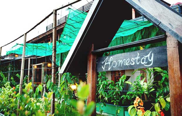kinh doanh homestay