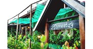 Pháp luật quy định về kinh doanh homestay